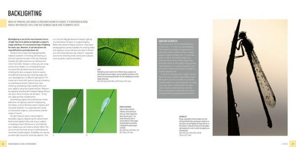 Digital Macro & Close-up Photography: New Edition
