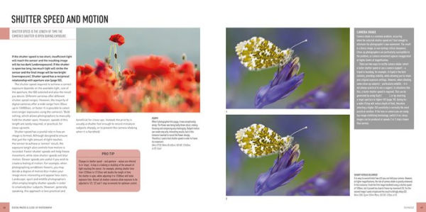 Digital Macro & Close-up Photography: New Edition