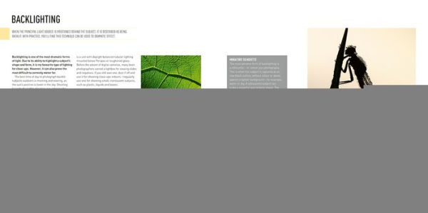 Digital Macro & Close-up Photography: New Edition