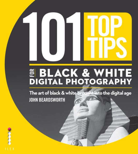 101 Top Tips for Black & White Digital Photography: The Art of Black & White Brought into the Digital Age