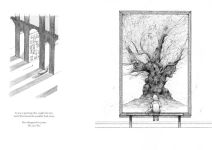 Alternative view 2 of The Last Tree: A Seed of Hope