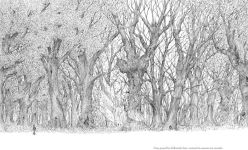 Alternative view 3 of The Last Tree: A Seed of Hope