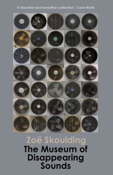 The Museum of Disappearing Sounds