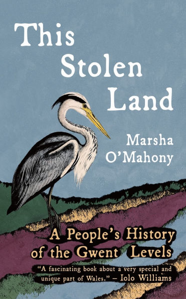 This Stolen Land: A People's History of the Gwent Levels