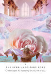 Alternative view 4 of Work Your Light Oracle Cards: A 44-Card Deck and Guidebook