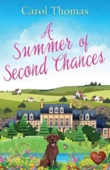 A Summer of Second Chances