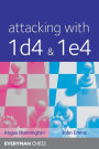 Attacking with 1d4 & 1e4