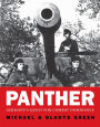 Panther: Germany's quest for combat dominance