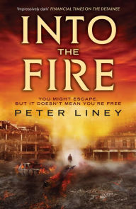 Title: Into The Fire: The Detainee Book 2, Author: Peter Liney