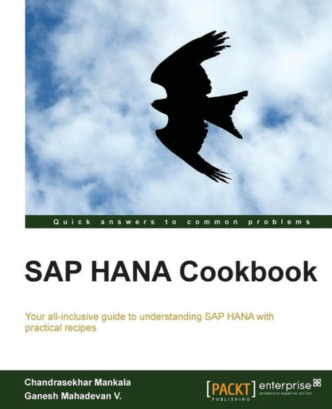 SAP Hana Cookbook