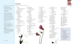 Alternative view 2 of A-Z of Embroidery Stitches: A Complete Manual for the Beginner Through to the Advanced Embroiderer