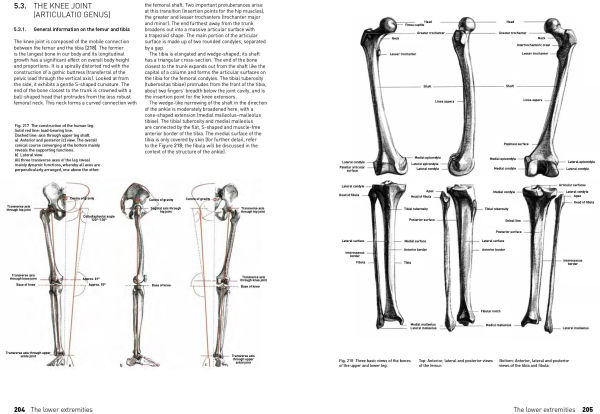 The Complete Guide to Anatomy for Artists & Illustrators