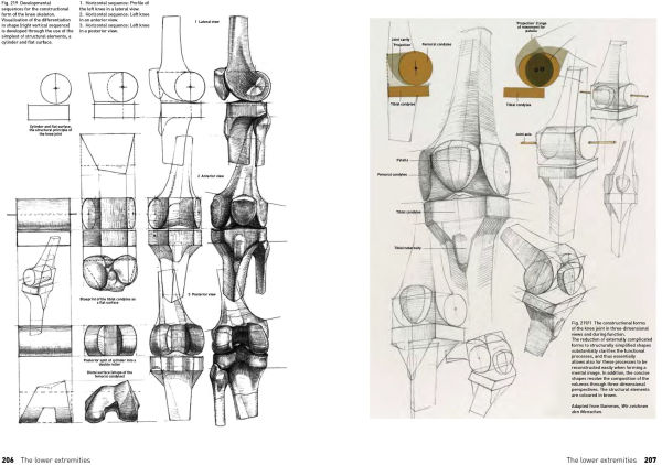 The Complete Guide to Anatomy for Artists & Illustrators