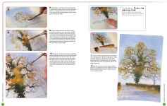 Alternative view 4 of Ready to Paint in 30 Minutes: Trees & Woodlands in Watercolour