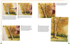 Alternative view 6 of Ready to Paint in 30 Minutes: Trees & Woodlands in Watercolour