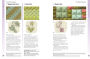 Alternative view 8 of Embroidery Stitch Bible, The: Over 200 stitches photographed with easy-to-follow charts