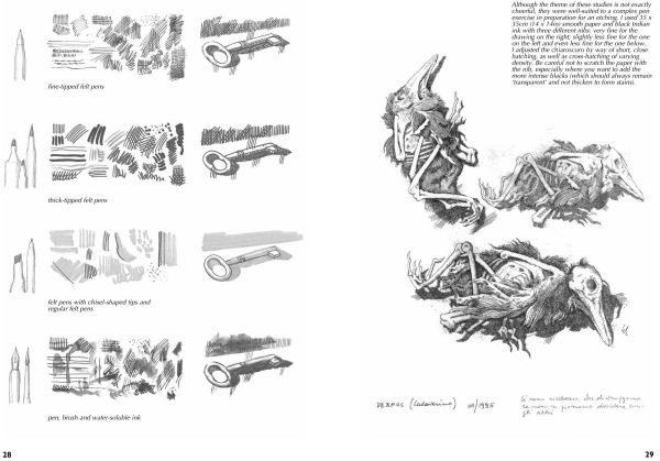 Drawing- A Complete Guide: Nature