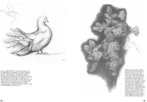 Alternative view 4 of Drawing- A Complete Guide: Nature