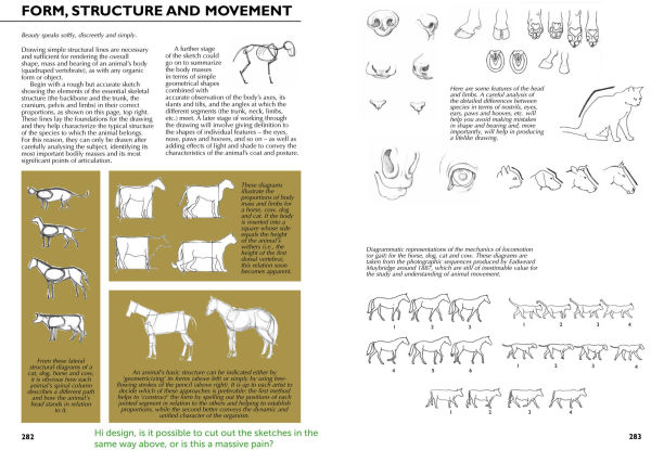 Drawing- A Complete Guide: Nature