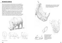 Alternative view 8 of Drawing- A Complete Guide: Nature
