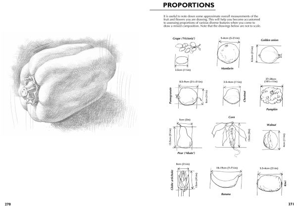 Drawing- A Complete Guide: Nature