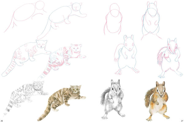 How to Draw Mountain Animals in simple steps