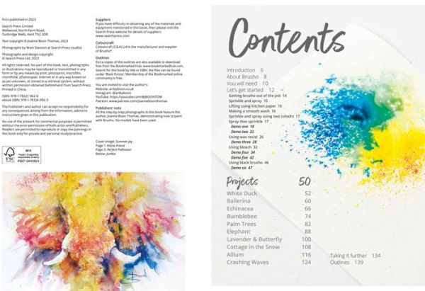 Painting with Brusho: Create vibrant & expressive paintings using watercolour ink powder