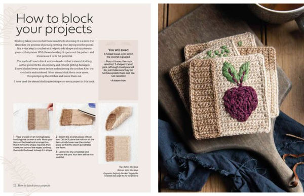 Embroidered Crochet: Enchanting projects to crochet and embroider