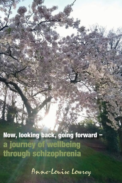 Now, looking back, going forward: a journey of wellbeing through schizophrenia