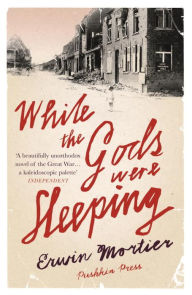 Title: While the Gods Were Sleeping, Author: Erwin Mortier