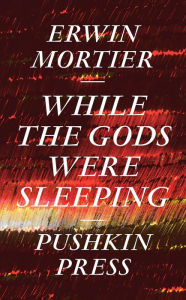 Title: While the Gods Were Sleeping, Author: Erwin Mortier