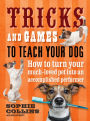 Tricks & Games To Teach Your Dog: How to turn your much loved pet