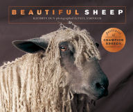 Title: Beautiful Sheep: Portraits of champion breeds, Author: Kathryn Dun