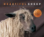 Beautiful Sheep: Portraits of champion breeds