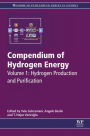 Compendium of Hydrogen Energy: Hydrogen Production and Purification