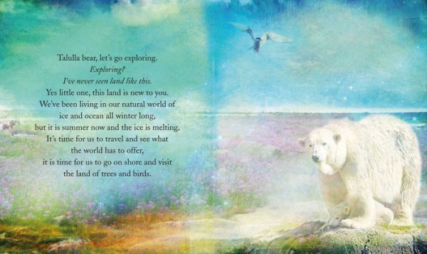 Talulla Bear Goes Exploring: A Mindful Tale of Discovery