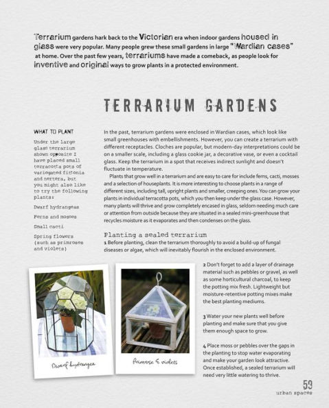 The Balcony Gardener: Creative ideas for small spaces