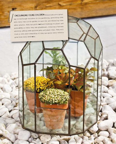 The Balcony Gardener: Creative ideas for small spaces