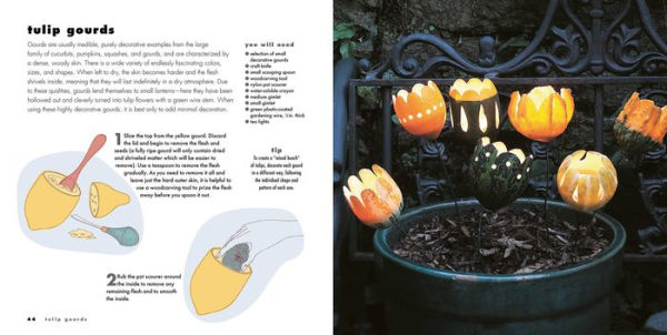 Decorating Pumpkins & Gourds: 20 fun & stylish projects for decorating pumpkins, gourds, and squashes