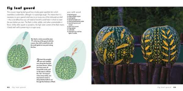 Decorating Pumpkins & Gourds: 20 fun & stylish projects for decorating pumpkins, gourds, and squashes