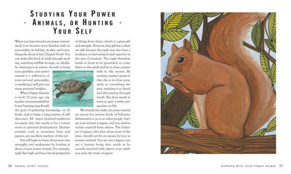Spirit Animal Guides: Discover your power animal and the shamanic path by Chris Luttichau, Hardcover | Barnes & Noble® Spirit Animal Guides: Discover your power animal and the shamanic path by Chris Luttichau, Hardcover | Barnes & Noble®