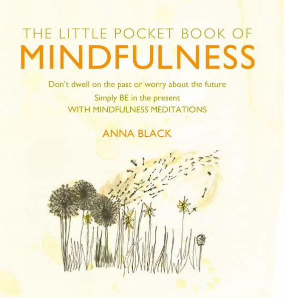 Little Pocket Book of Mindfulness