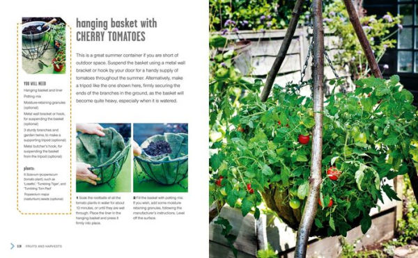 Small Summer Gardens: 35 bright and beautiful projects to bring color and scent to your garden