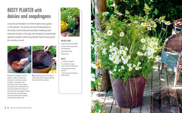 Small Summer Gardens: 35 bright and beautiful projects to bring color and scent to your garden