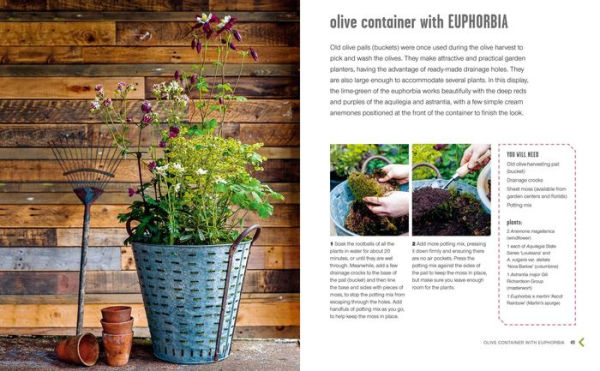 Small Summer Gardens: 35 bright and beautiful projects to bring color and scent to your garden