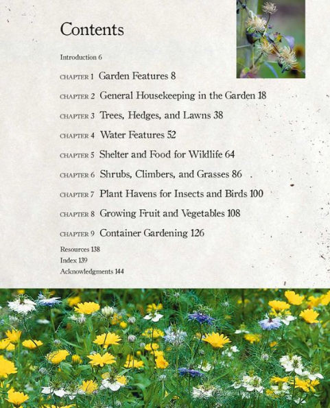 The Urban Wildlife Gardener: How to attract bees, birds, butterflies, and more