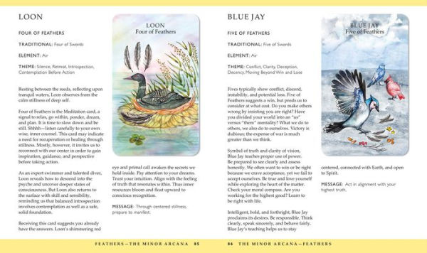 Spirit Animal Tarot: Includes an inspirational book and a full deck of specially commissioned tarot cards