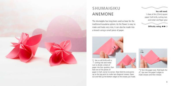 Origami Flowers and Birds: Paper pack plus 64-page book