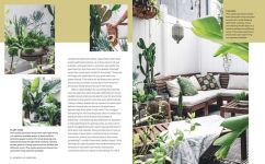 Alternative view 2 of Wild Interiors: Beautiful plants in beautiful spaces