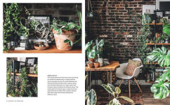 Alternative view 3 of Wild Interiors: Beautiful plants in beautiful spaces